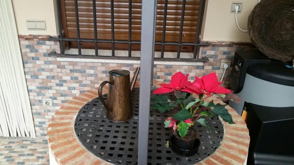 Los Toneles Puerto de Santa Cruz Dış mekan fotoğraf