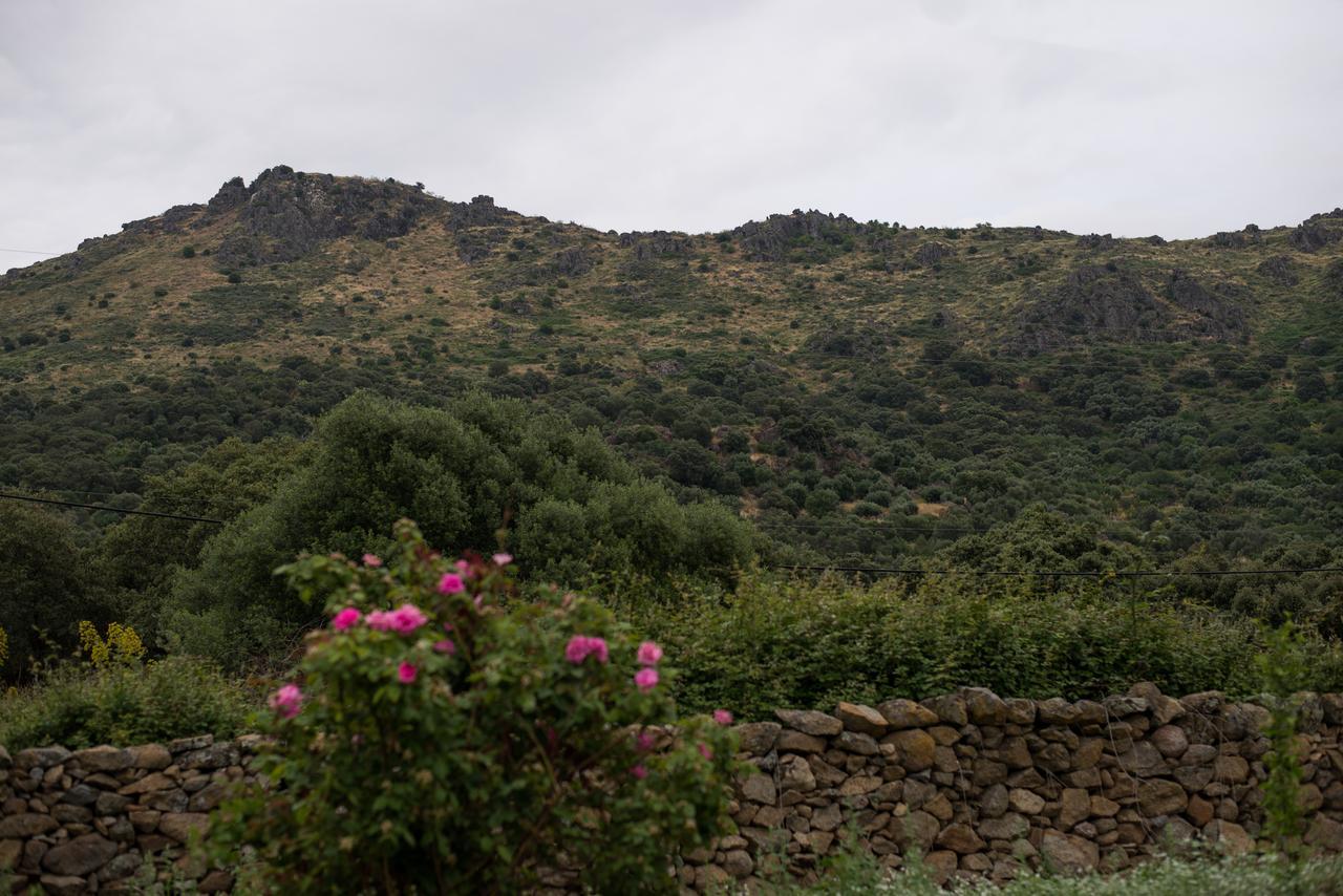 Los Toneles Puerto de Santa Cruz Dış mekan fotoğraf